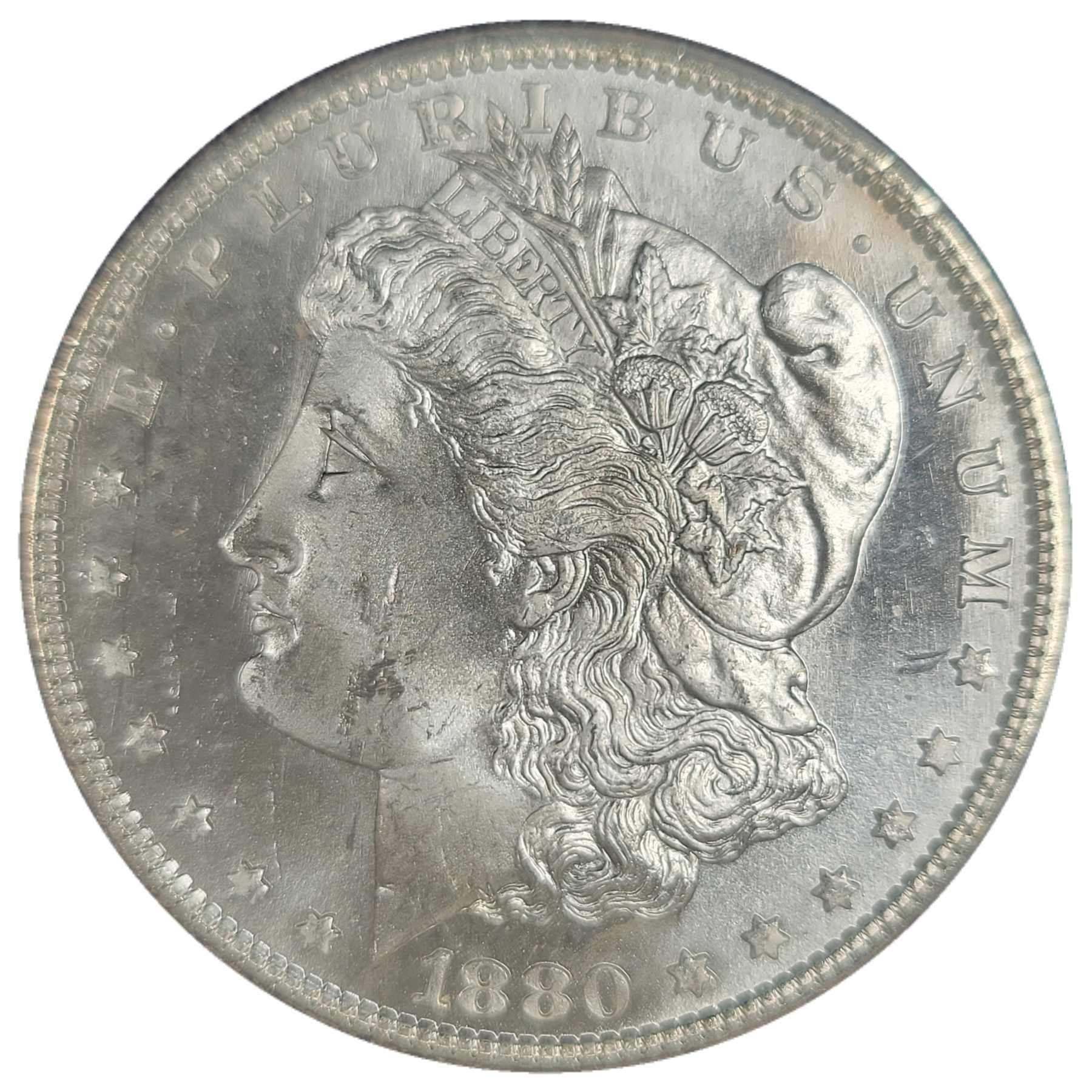1880-S-$1-Morgan-Dollar-#10